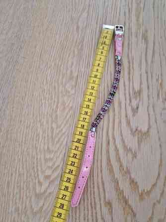 Kissan kaulapanta x 2 ja talutushihna Эспоо