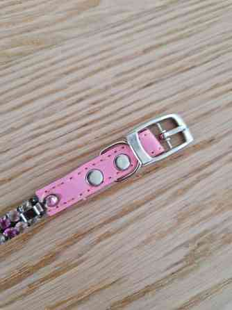 Kissan kaulapanta x 2 ja talutushihna Эспоо