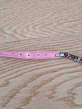 Kissan kaulapanta x 2 ja talutushihna Эспоо