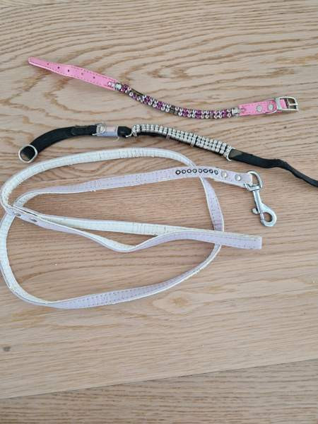 Kissan kaulapanta x 2 ja talutushihna Espoo – foto 1