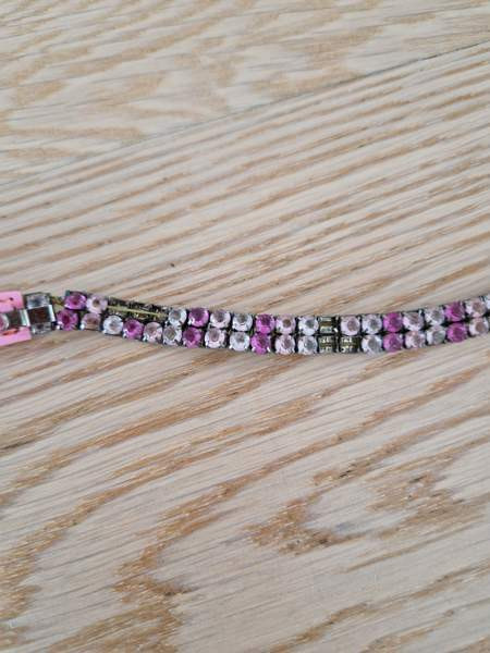 Kissan kaulapanta x 2 ja talutushihna Espoo – foto 4