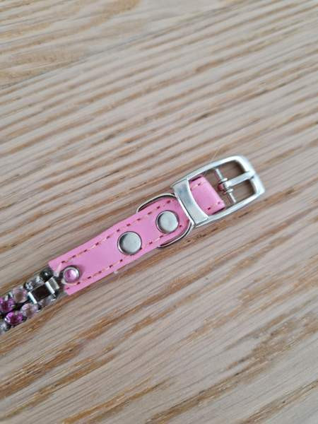 Kissan kaulapanta x 2 ja talutushihna Espoo – foto 5