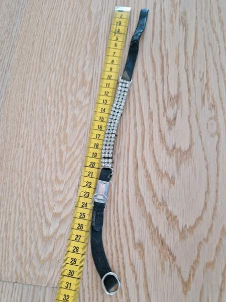 Kissan kaulapanta x 2 ja talutushihna Espoo – foto 7