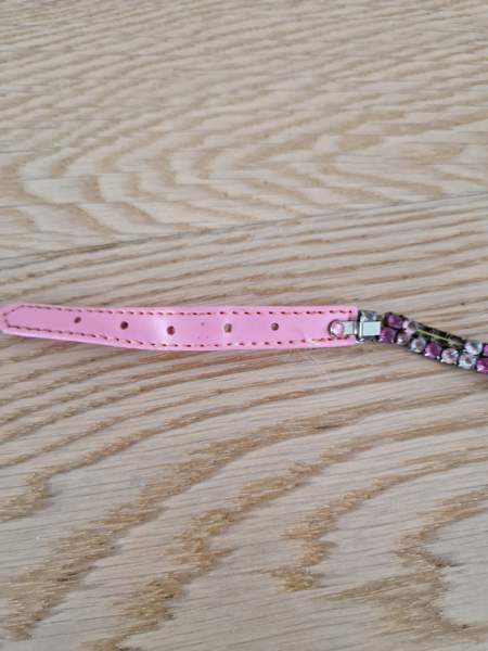 Kissan kaulapanta x 2 ja talutushihna Espoo – foto 3