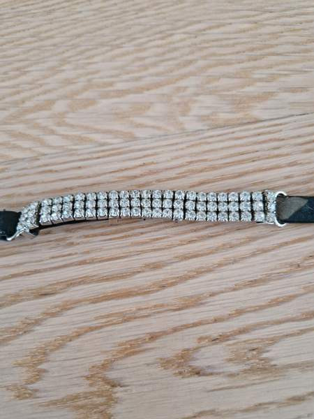 Kissan kaulapanta x 2 ja talutushihna Espoo – foto 8