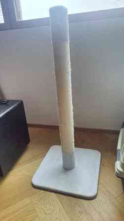 Kissan raapimapuu Эспоо