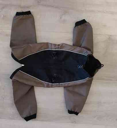 Koiran haalari, 29 cm Jaervenpaeae