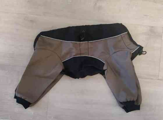 Koiran haalari, 29 cm Jaervenpaeae