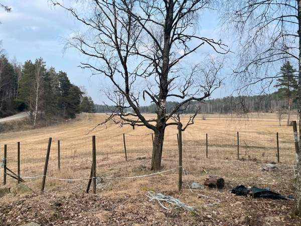 Hirviaita Sauvo - valokuva 1