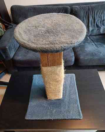 Kissan raapimapuu Rovaniemi