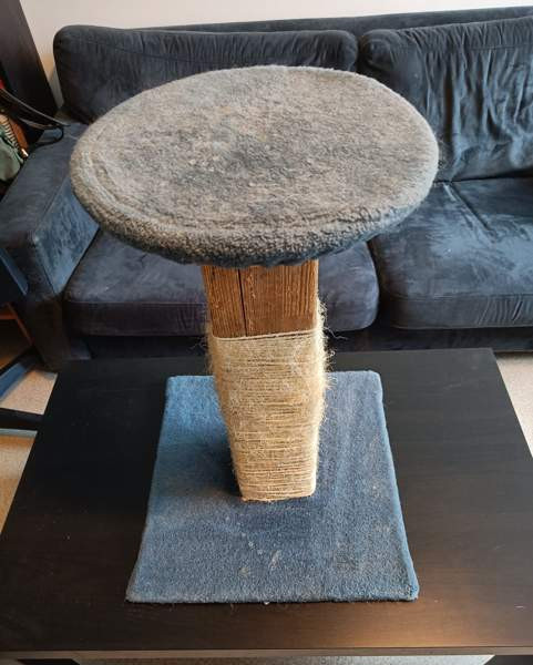 Kissan raapimapuu Rovaniemi - valokuva 2