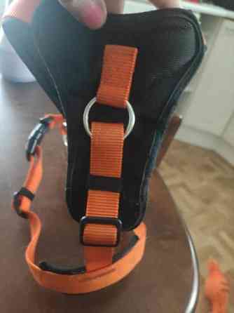 Icepeak Prozone koiranvaljaat koko S Loimaa