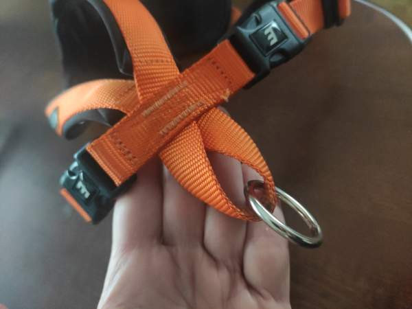 Icepeak Prozone koiranvaljaat koko S Loimaa - valokuva 5