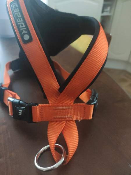 Icepeak Prozone koiranvaljaat koko S Loimaa - valokuva 3