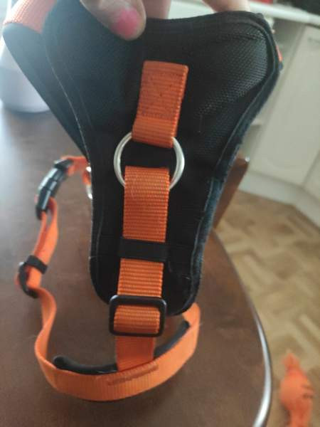 Icepeak Prozone koiranvaljaat koko S Loimaa - valokuva 2