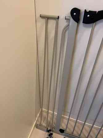 Koiraportti Yloejaervi