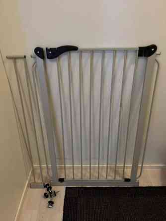 Koiraportti Yloejaervi