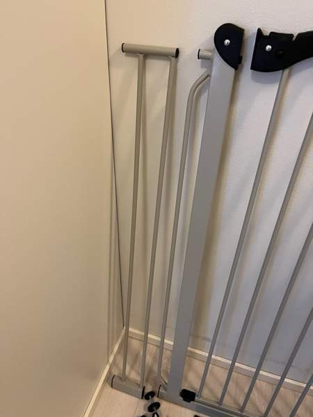 Koiraportti Ylöjärvi - valokuva 2