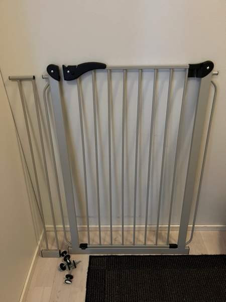 Koiraportti Ylöjärvi - valokuva 1