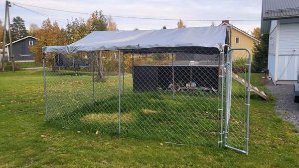 Koira aitaus Orivesi - valokuva 1