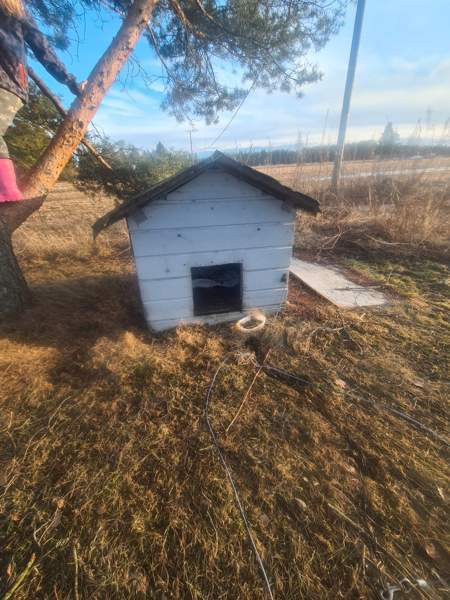 Eristetty koirankoppi Muhos - изображение 1