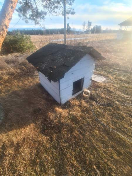 Eristetty koirankoppi Muhos - изображение 2