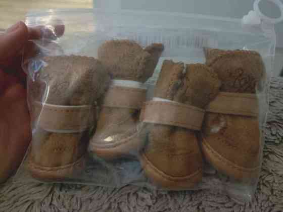 Pienen koiran talvikengät Vantaa