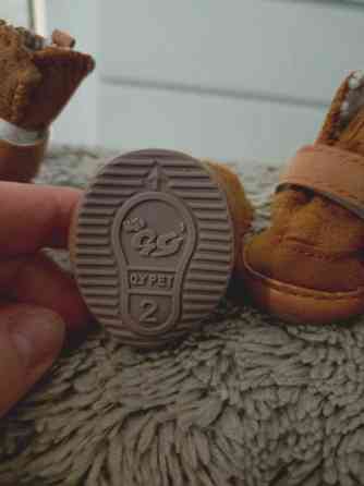 Pienen koiran talvikengät Vantaa