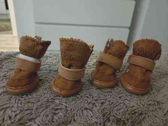 Pienen koiran talvikengät Vantaa