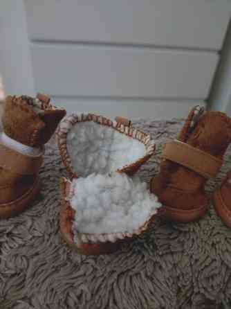 Pienen koiran talvikengät Vantaa