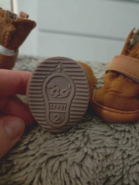 Pienen koiran talvikengät Vantaa – foto 3