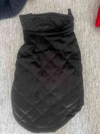 Koiran tarvikkeita Kontiolahti