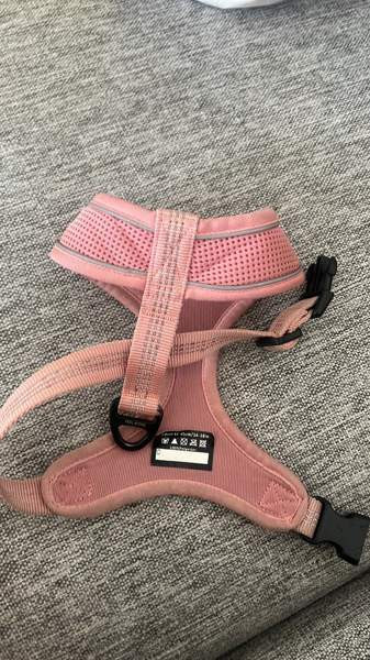 Koiran tarvikkeita Kontiolahti – foto 3