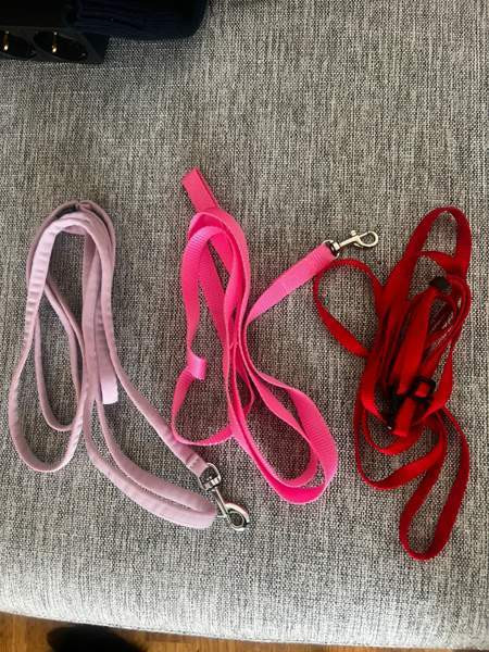 Koiran tarvikkeita Kontiolahti – foto 4