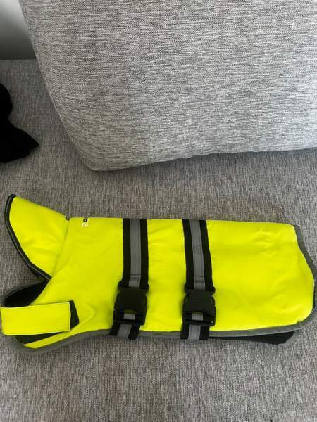 Koiran tarvikkeita Kontiolahti – foto 8