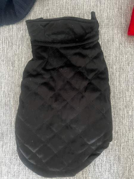 Koiran tarvikkeita Kontiolahti – foto 6