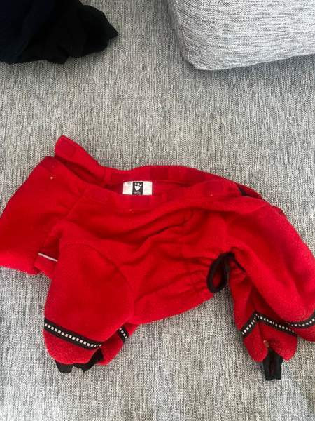 Koiran tarvikkeita Kontiolahti – foto 7