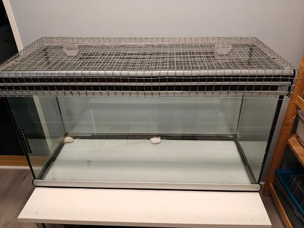 Terraario Kannus - photo 1