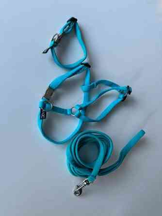 Basic Sweet pentusetti XXS sis. hihnan, valjaat ja kaulapannan Jyvaeskylae