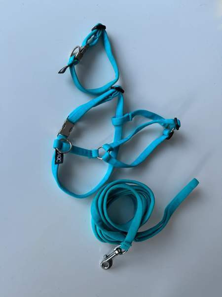 Basic Sweet pentusetti XXS sis. hihnan, valjaat ja kaulapannan Ювяскюля - изображение 1