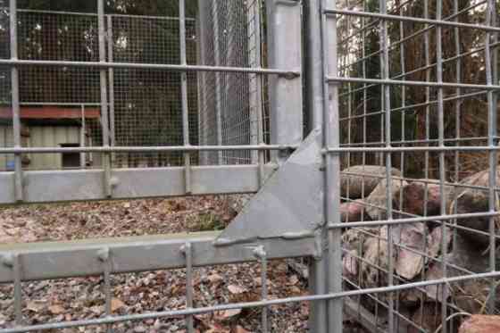 Laadukas koiratarha ja koirankoppi Parainen