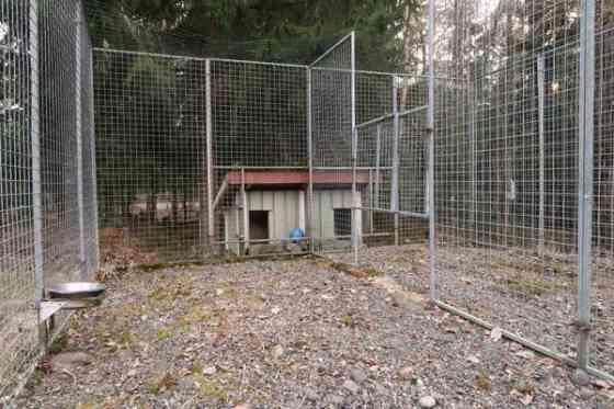 Laadukas koiratarha ja koirankoppi Parainen