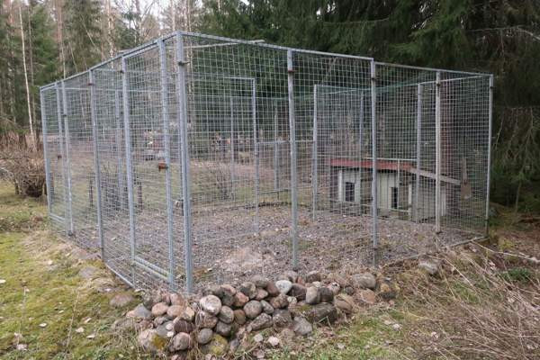 Laadukas koiratarha ja koirankoppi Parainen - изображение 1