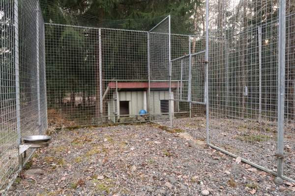 Laadukas koiratarha ja koirankoppi Parainen - изображение 2