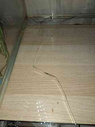 100x50 Terraario Sipoo