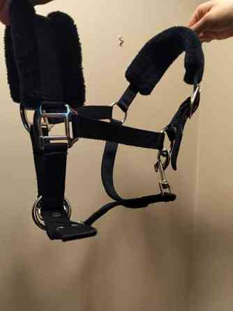 Riimu, kokoa pony Hyvinkää