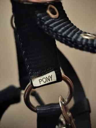 Riimu, kokoa pony Hyvinkää