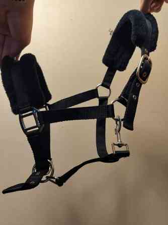 Riimu, kokoa pony Hyvinkää