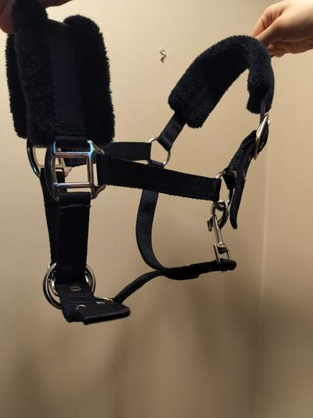 Riimu, kokoa pony Хювинкяя - изображение 2