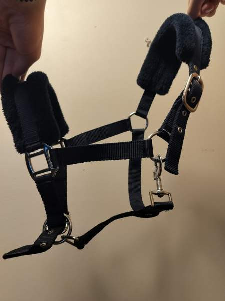 Riimu, kokoa pony Хювинкяя - изображение 1